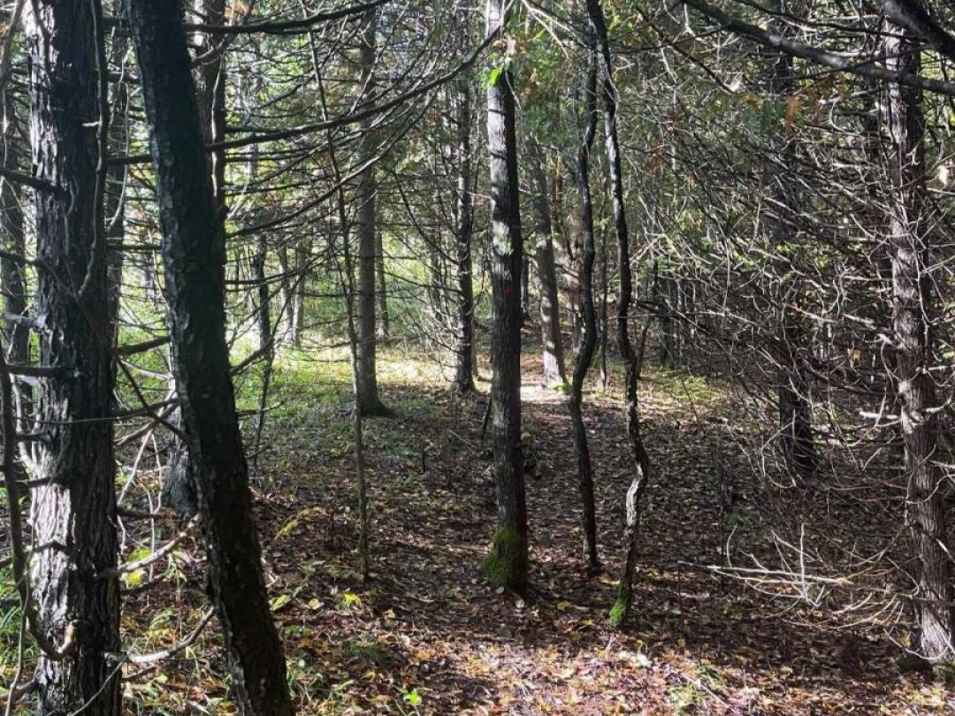 Lot 67 Chelsea Lane, Maple Lake