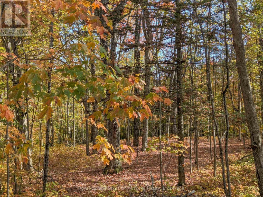 1779 MUSKOKA RD 118 ROAD W, 