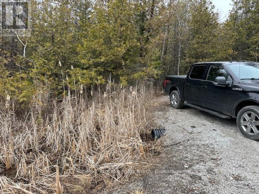 0 LAXTON BOUNDARY LINE, 