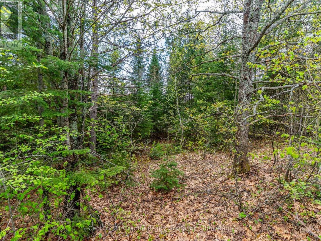 0 Koshlong Lake Road, Burnt Lake