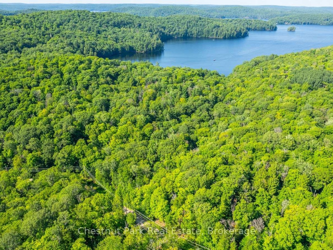 0 COLEMAN LAKE ROAD, 