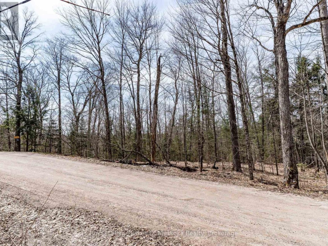 0 Bird Lake Road, Bird Lake