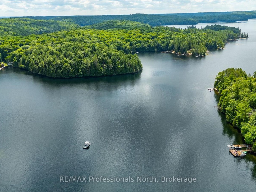 53437 BIG HAWK LAKE, 