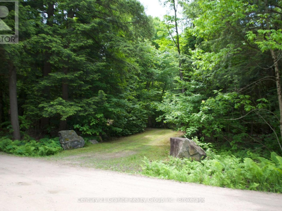 LOT 10 LOON LAKE ROAD S, 