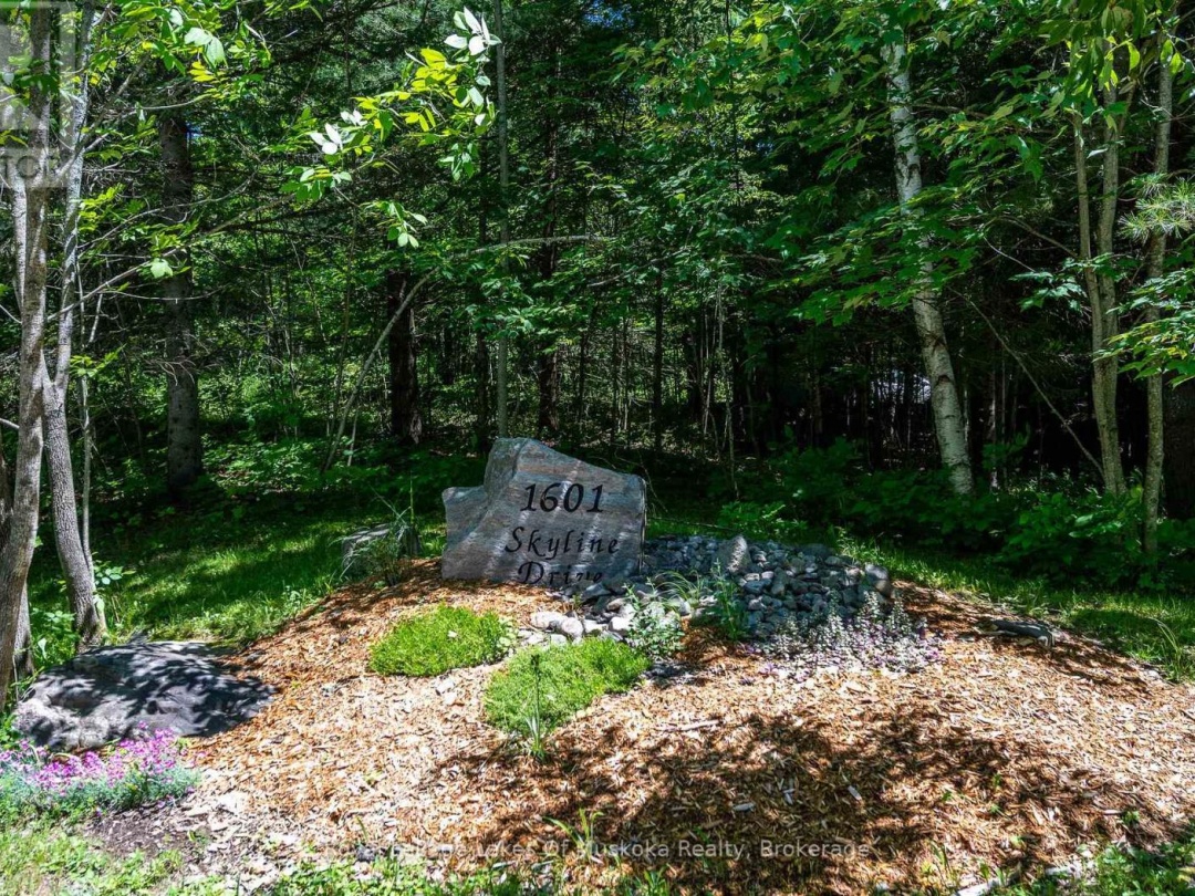 1601 SKYLINE DRIVE, 