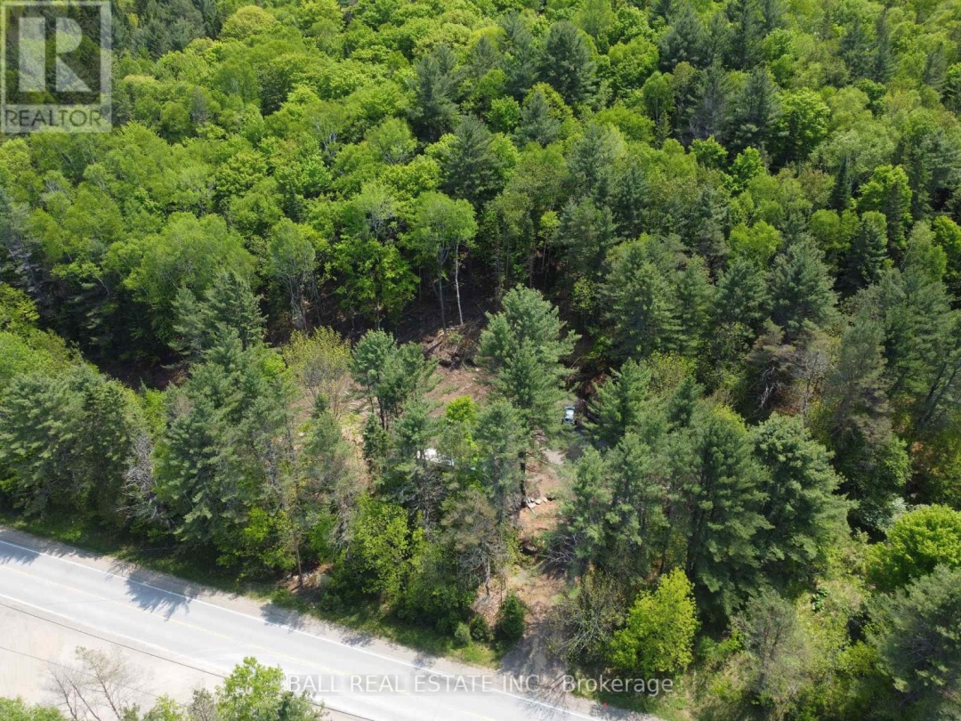 CON 6 PTLT11 KENNISIS LAKE ROAD, 