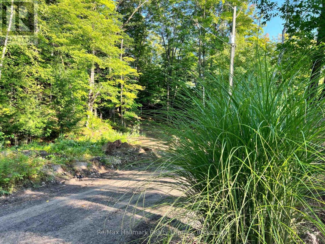 171 Town Line Road E, Fairy Lake