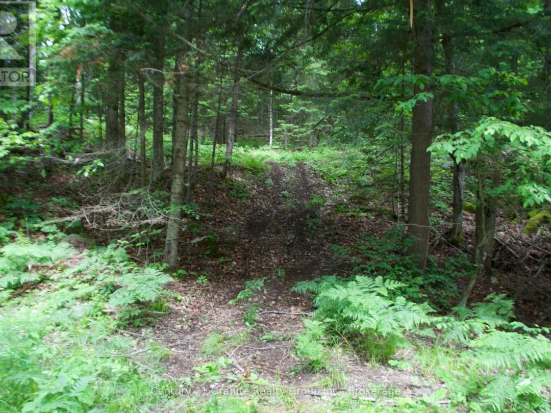 LOT 10 LOON LAKE ROAD S, 