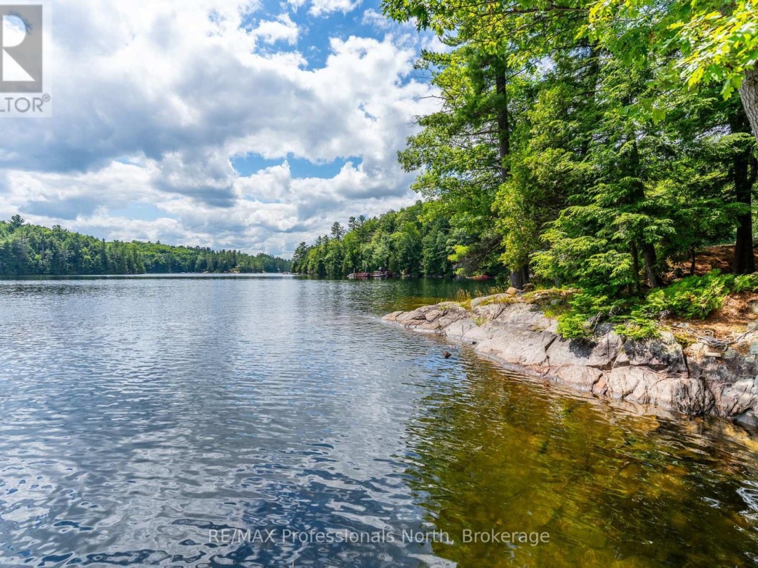 53437 BIG HAWK LAKE, 