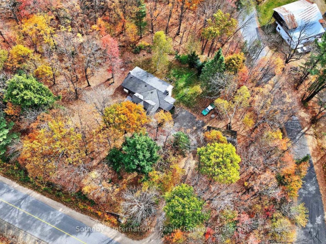 1132 LIMBERLOST ROAD, 