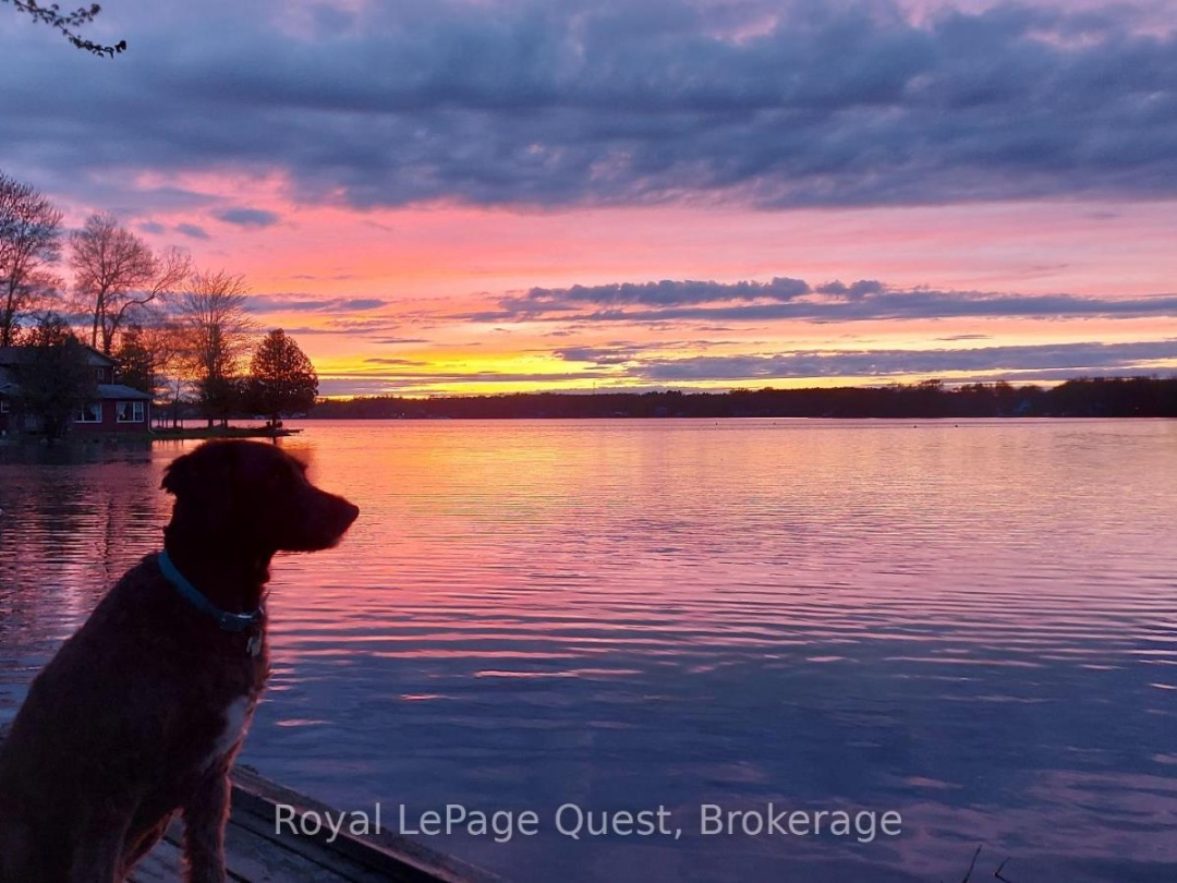 4304 PLUM POINT ROAD, Lake Simcoe