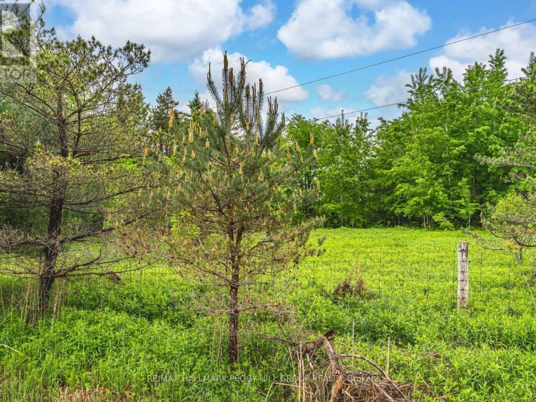 699 MOONSTONE ROAD E, 