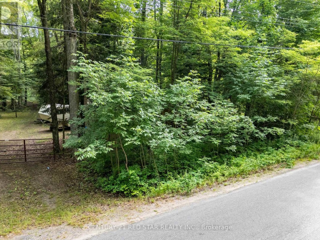 1139 SHERWOOD FOREST ROAD, 
