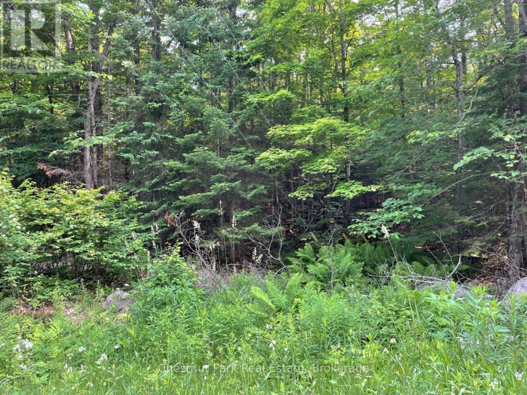 0 COLEMAN LAKE ROAD, 
