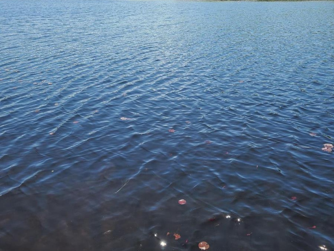 91B Highway 124, Mountain Basin Lake