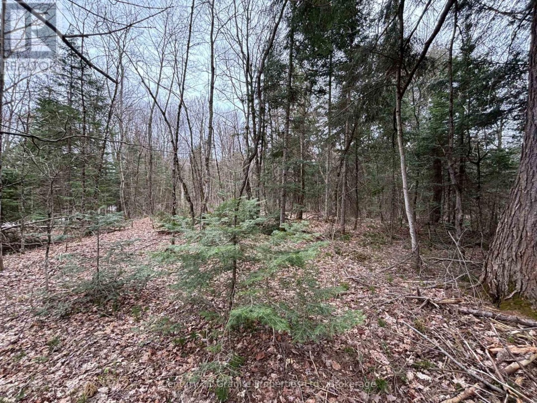LOT 1 LOCH ERNE ROAD, McDougall