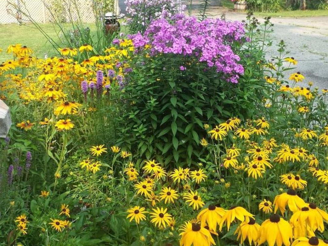 1046 LUTTERWORTH PINES ROAD, 