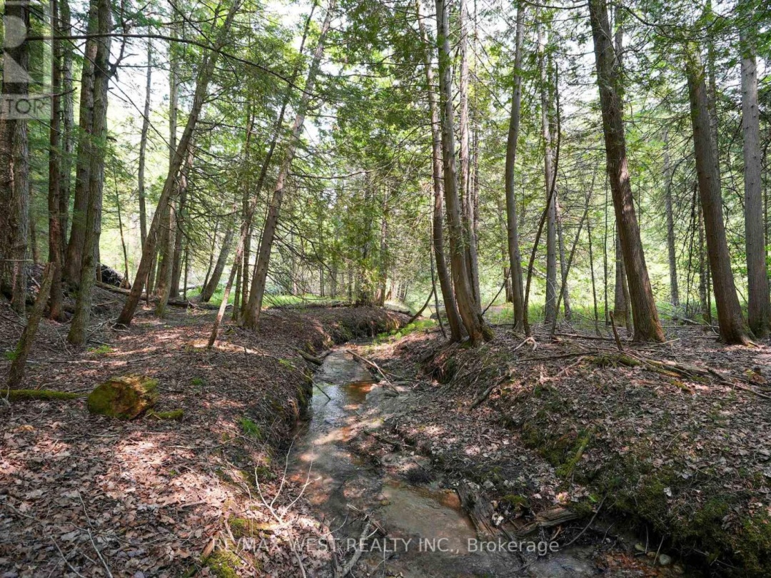 741 Ingram Road, Coldwater Lake