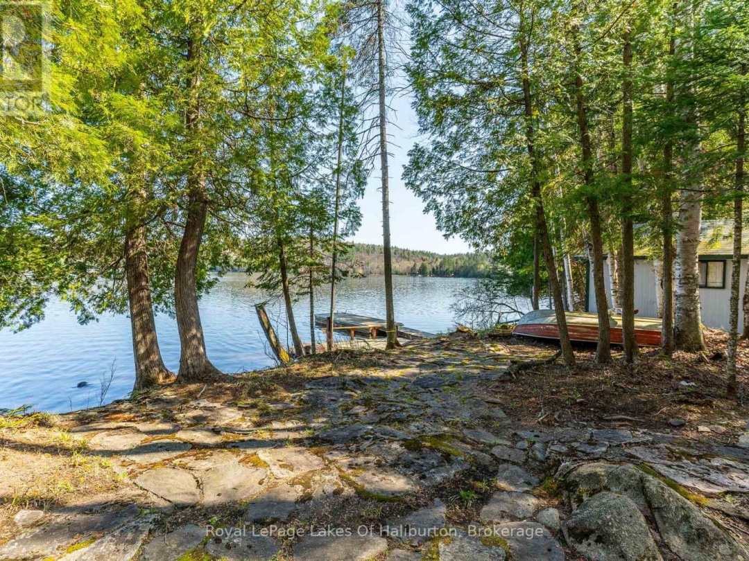 1096 Reg's Trail, Drag Lake