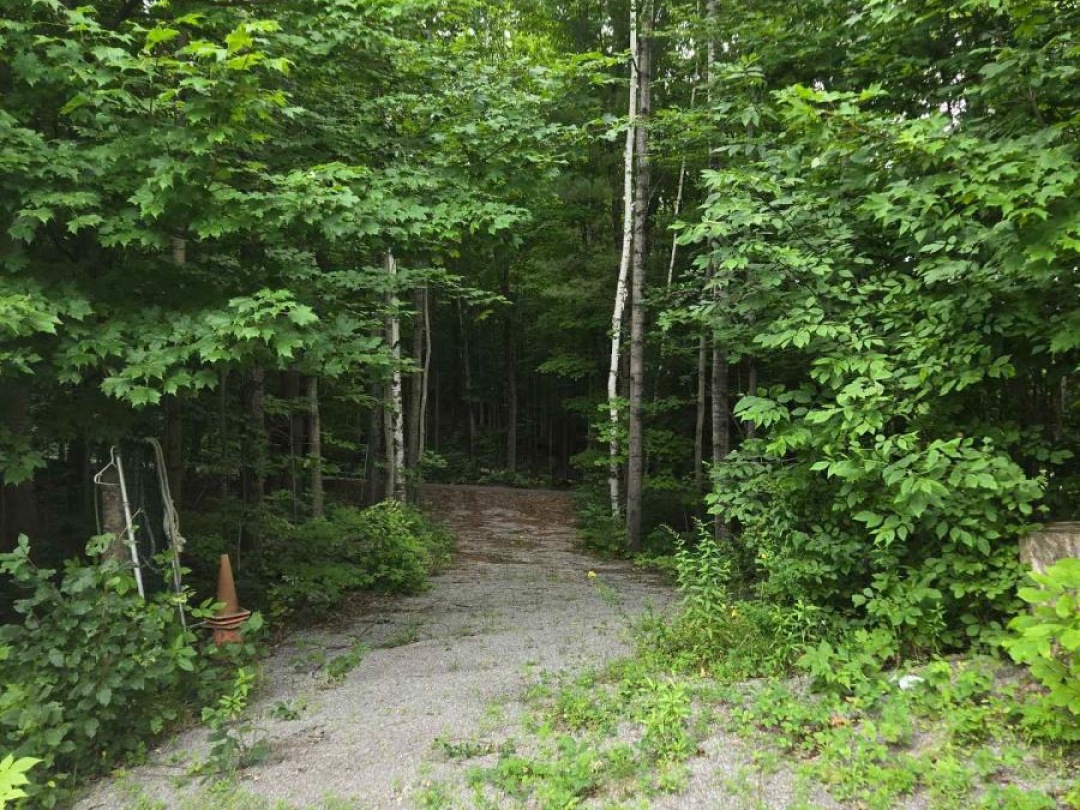 40 1043 Lobo Drive E, Minden Lake