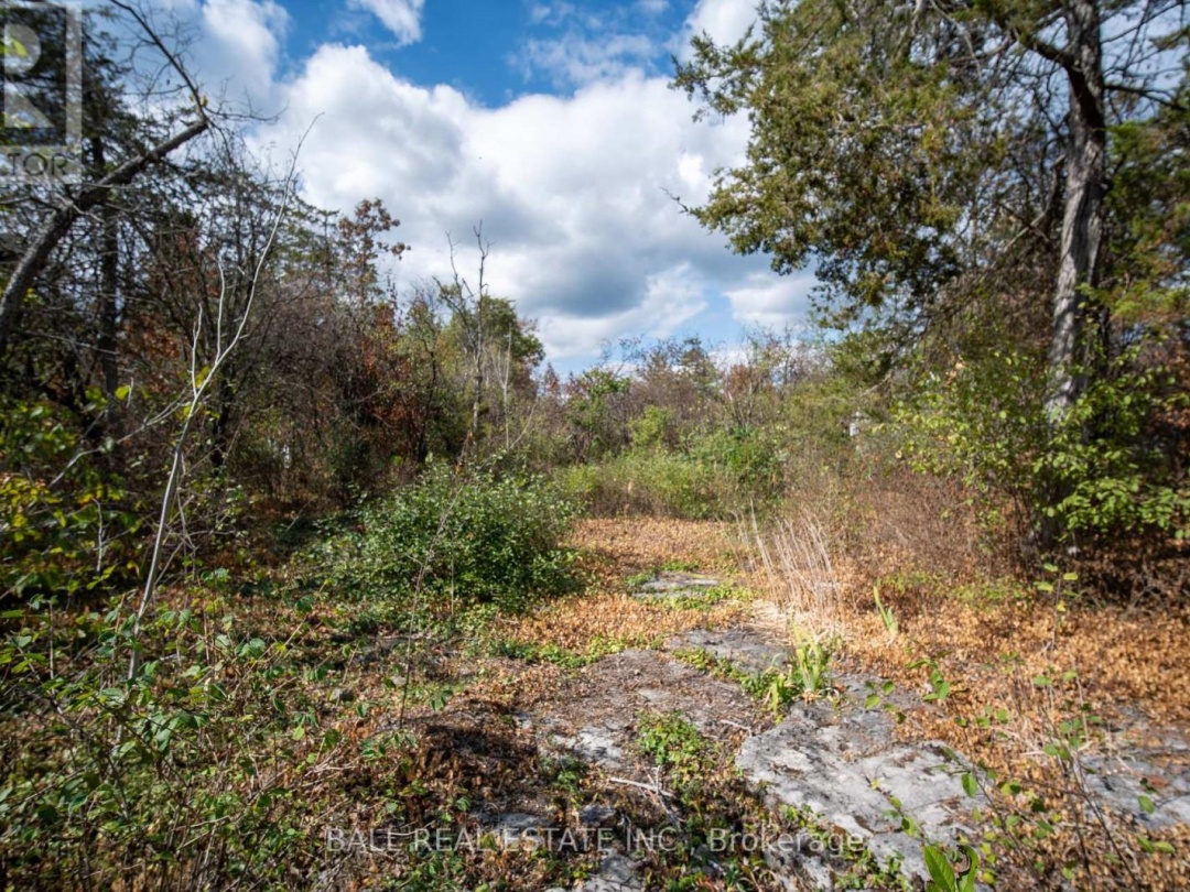 0 SNAKE POINT ROAD, 