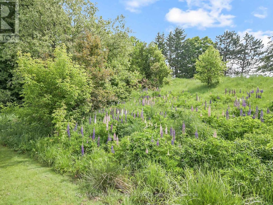 213 WOODCHESTER AVENUE, 