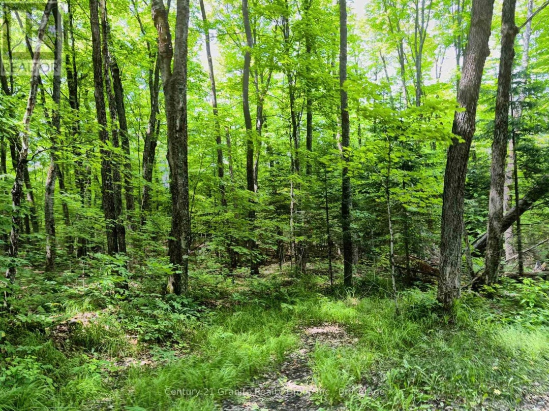 0 LOON LAKE ROAD, 
