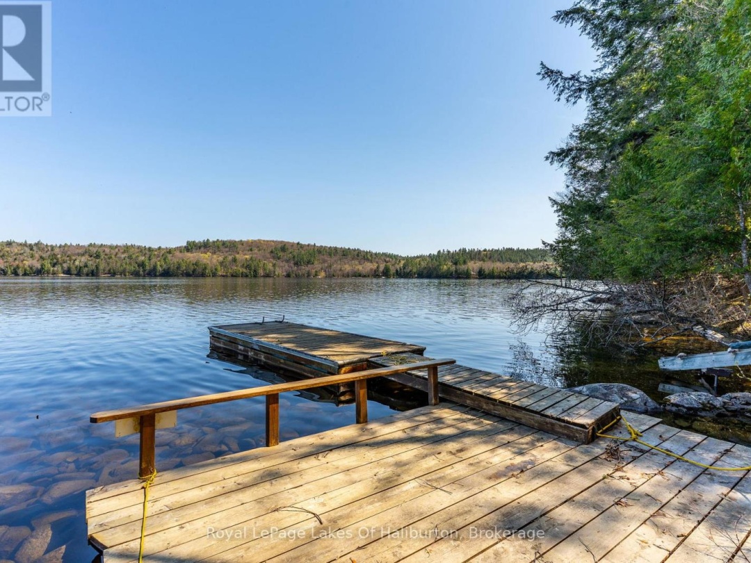 1096 Reg's Trail, Drag Lake