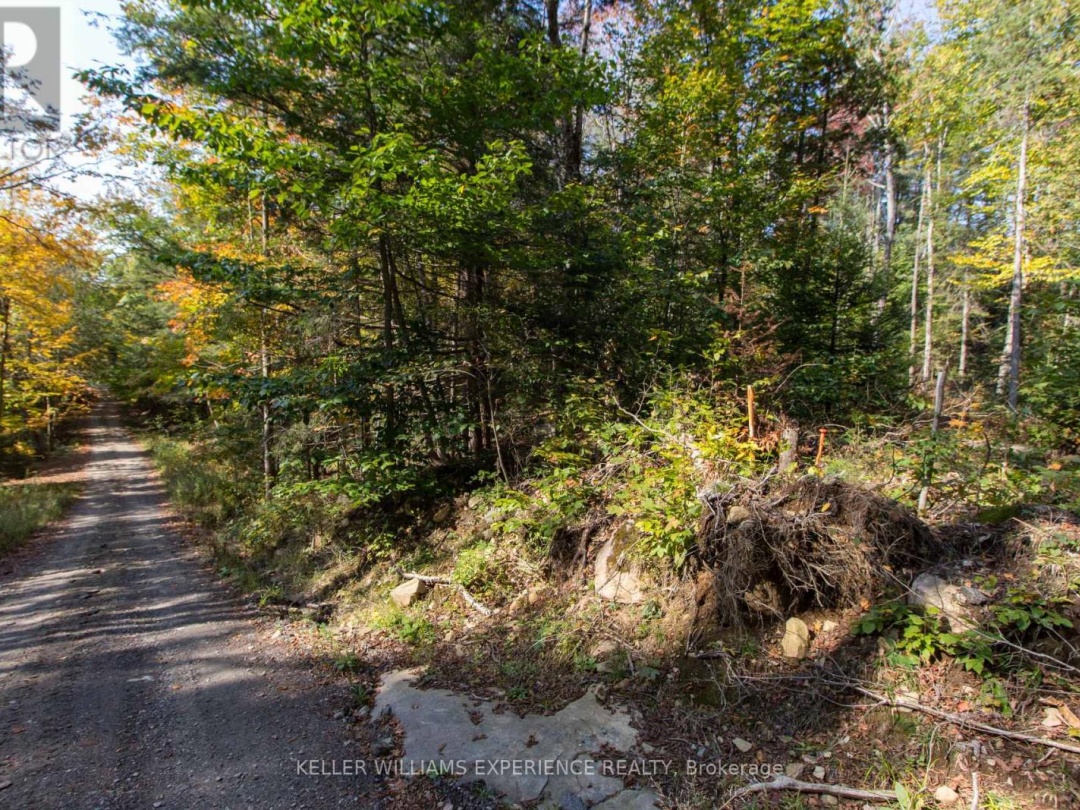 0 LYNX LAKE ROAD, 