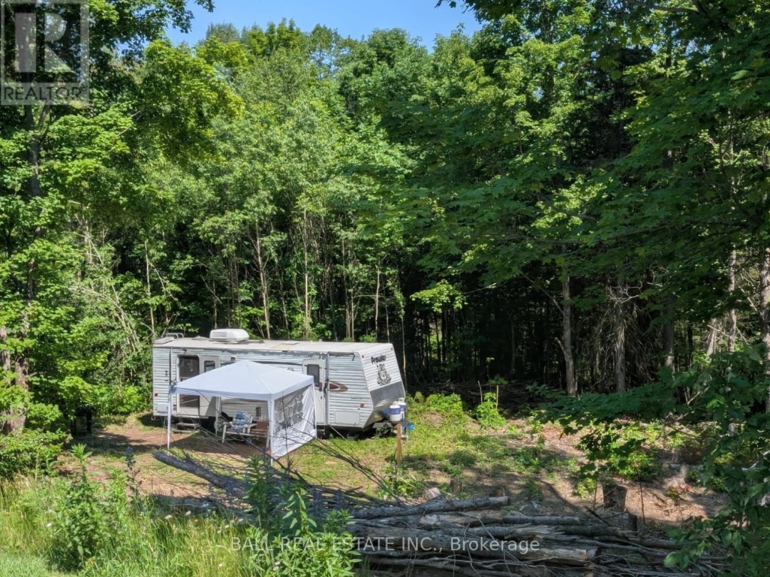 10419 COUNTY ROAD 503, 