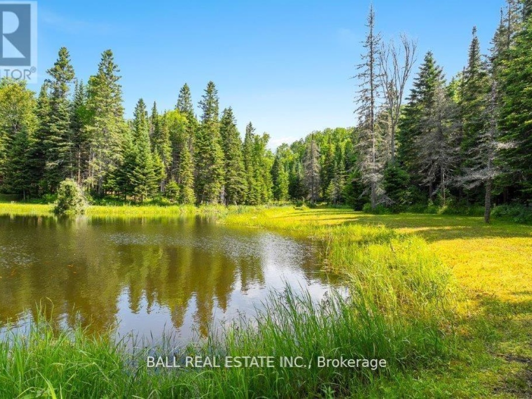 4263 LOOP ROAD, 