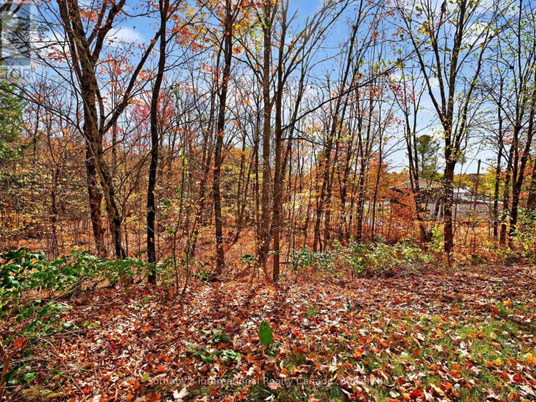 1132 LIMBERLOST ROAD, 