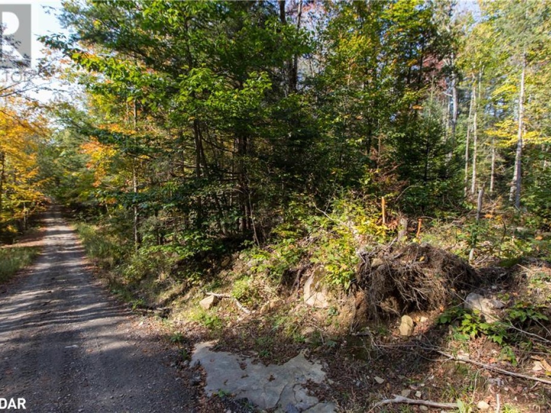 0 Lynx Lake Road, Huntsville
