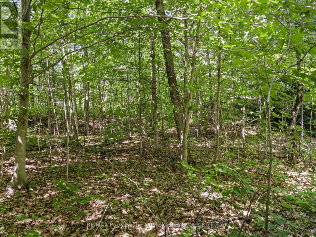 34A BELL LAKE ROAD, 
