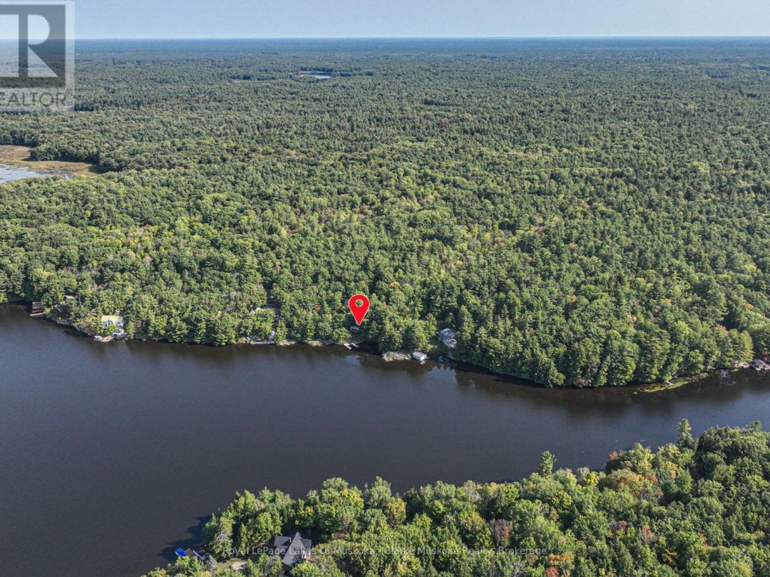 2910 Maclean Lk N S Road, Black Lake