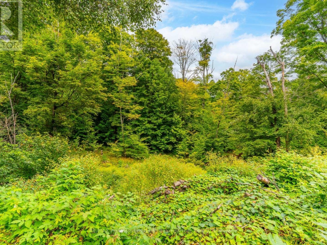 0 ADELINE TRAIL TRAIL, 