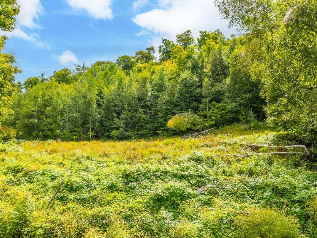 0 ADELINE TRAIL TRAIL, 