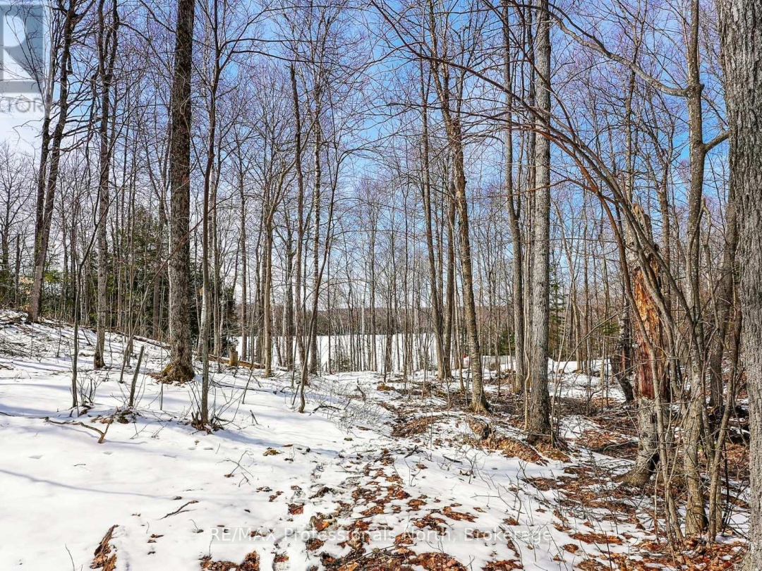 1025 Manitou Road, Little Dudmon Lake
