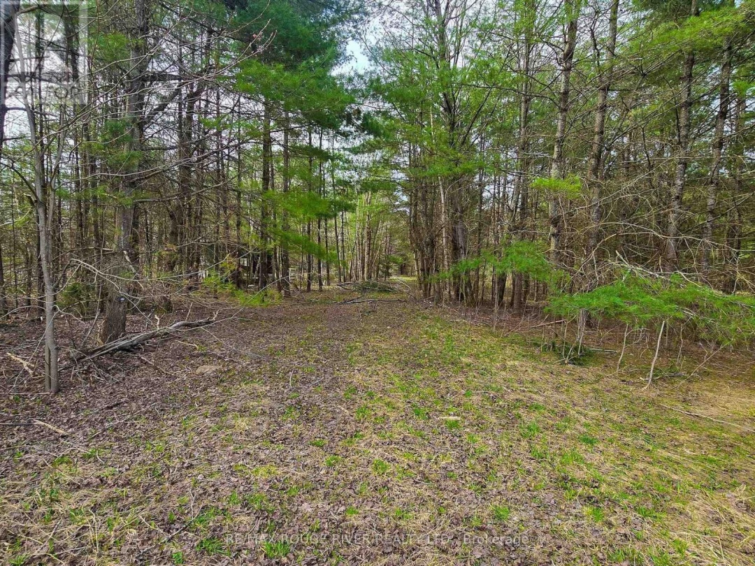 1205 Fair Grounds Road, Ramara