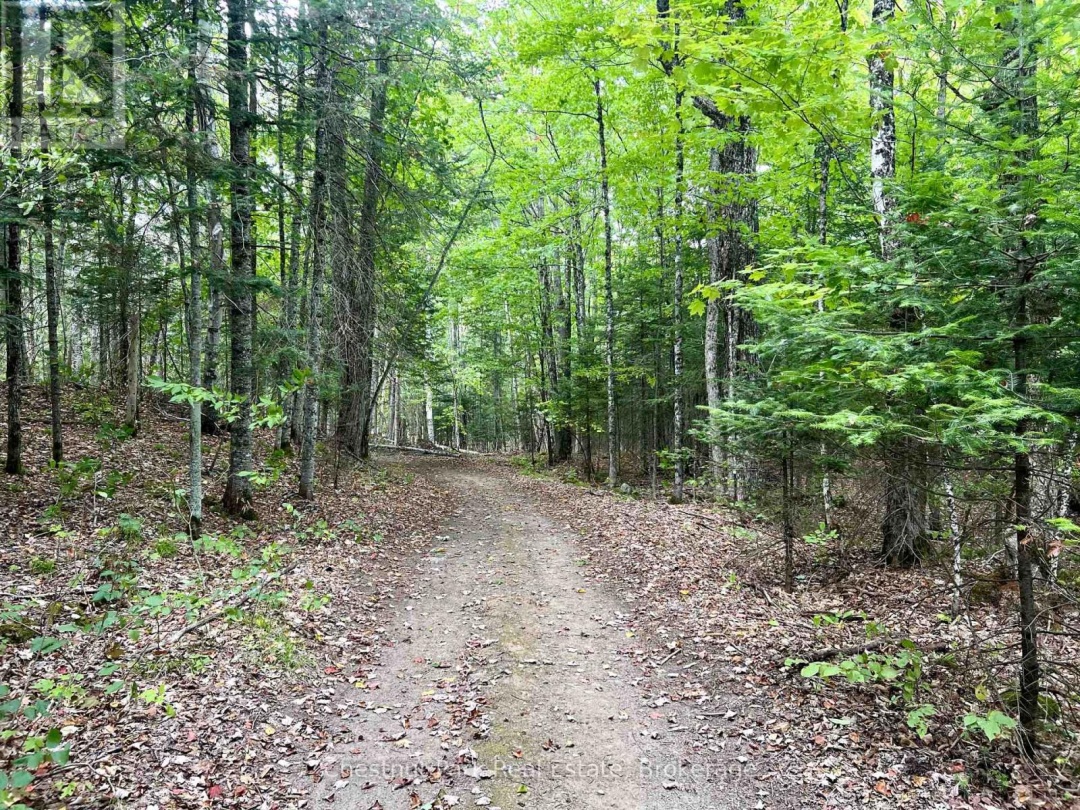 28 - 8 WILLIAM JAMES COURT, 