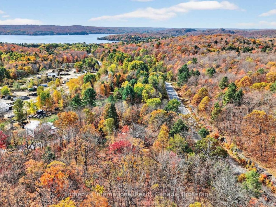 1132 LIMBERLOST ROAD, 