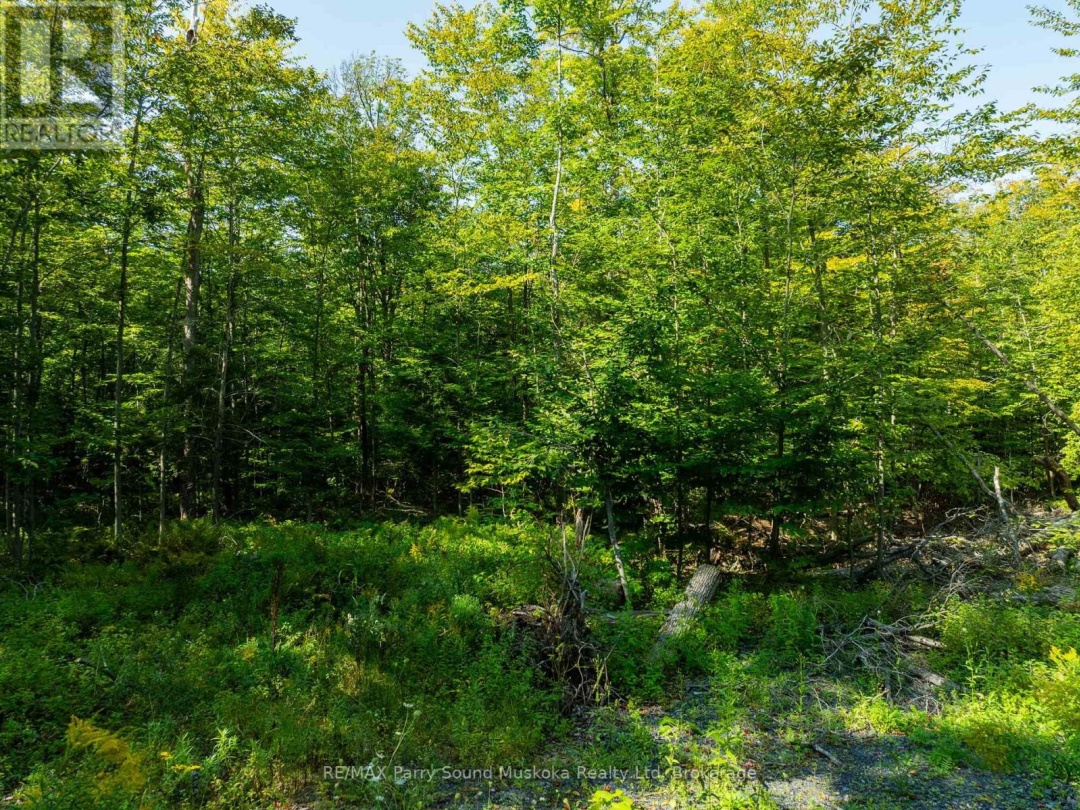 18 BURNSIDE BRIDGE ROAD, 