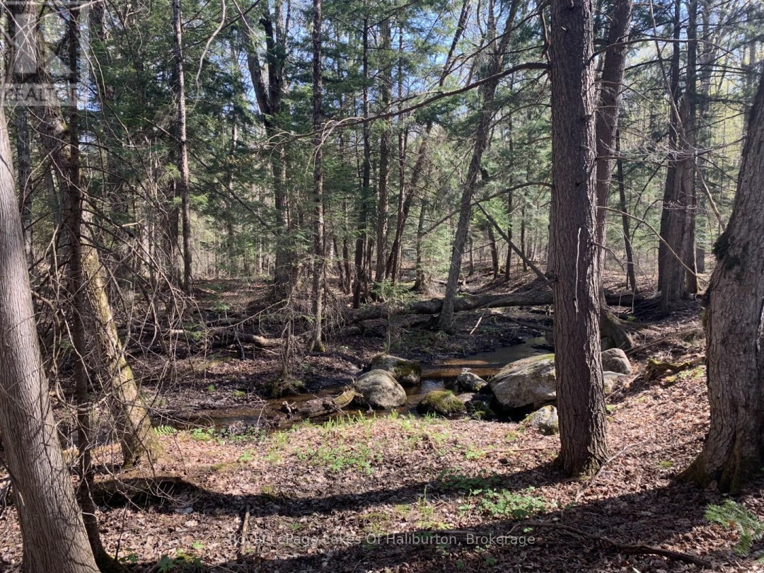0 KASHAGAWIGAMOG LAKE ROAD, 