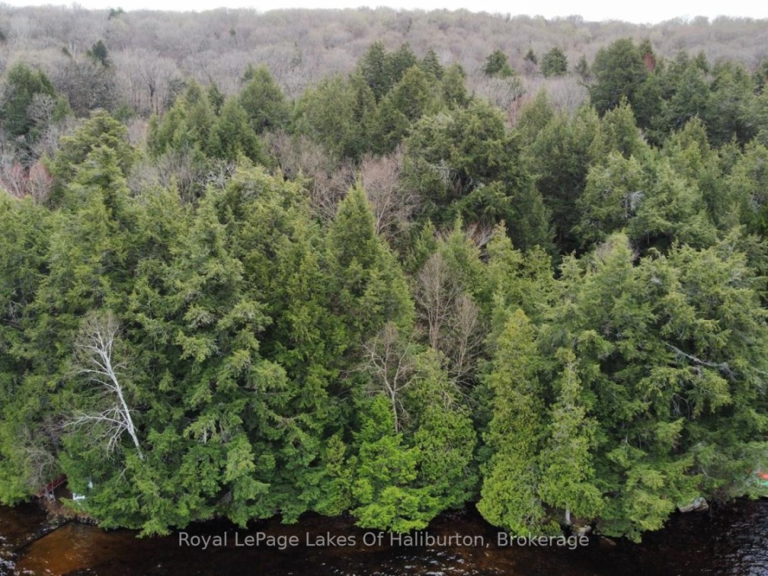 1017 Palace Drive, Little Kennisis Lake