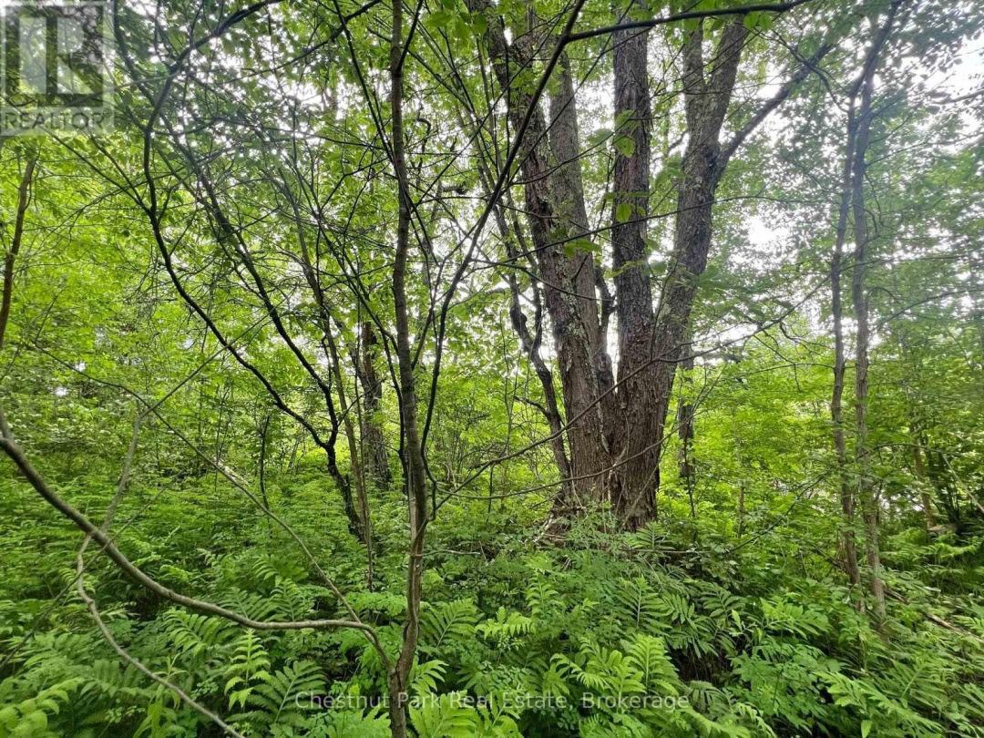 0 DEEP BAY ROAD, Gull Lake