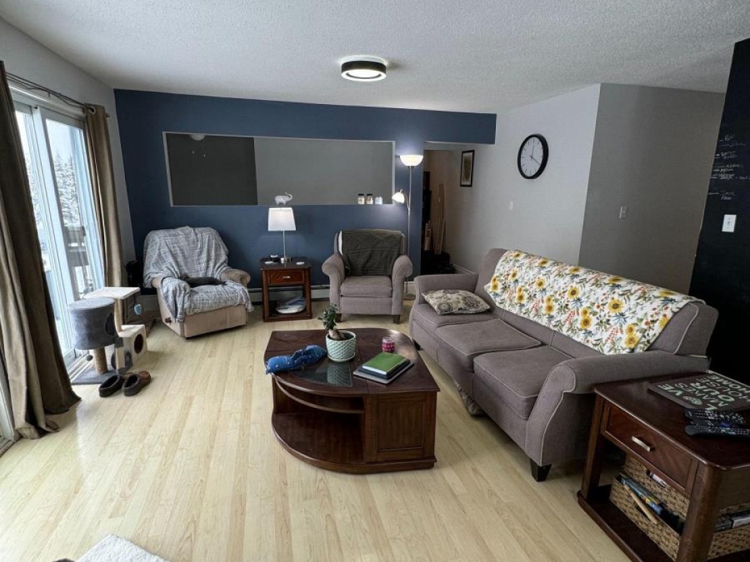 204 MINERAL SPRINGS ROAD, 