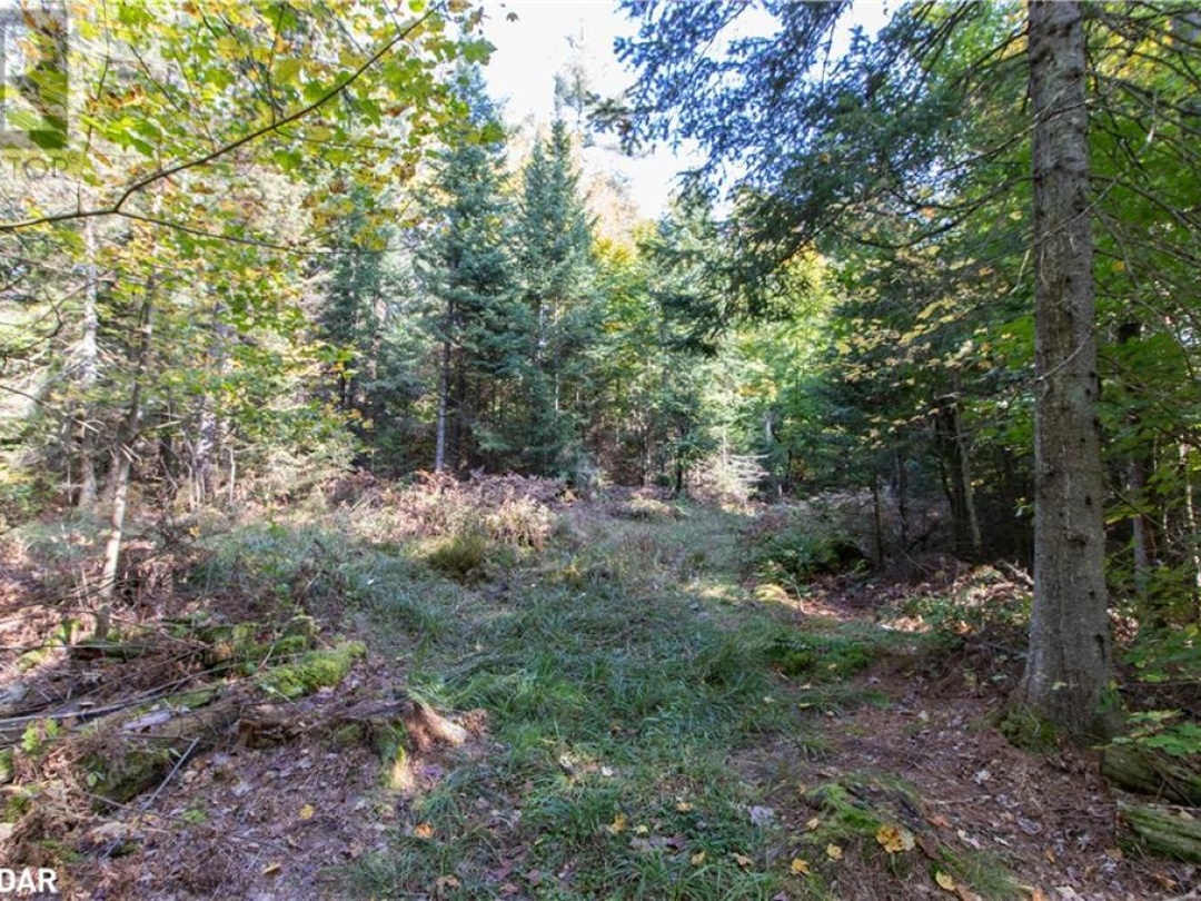 0 Lynx Lake Road, Huntsville