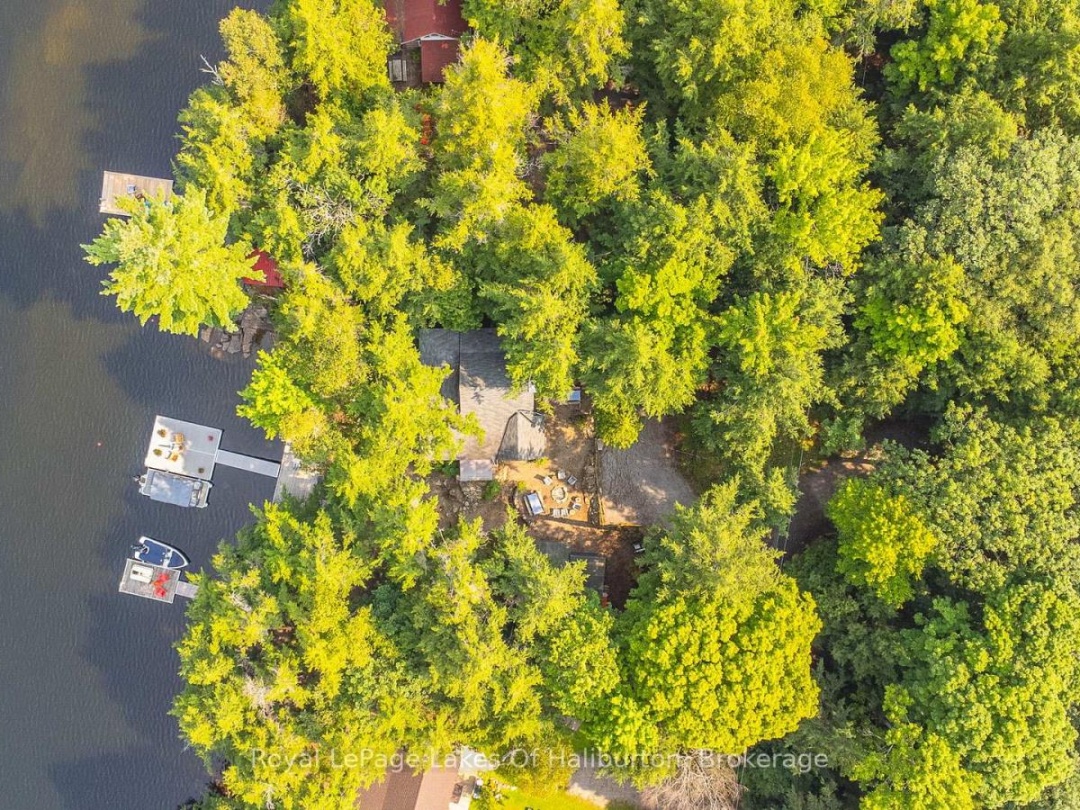 1117 Trellis Trail, Bob Lake