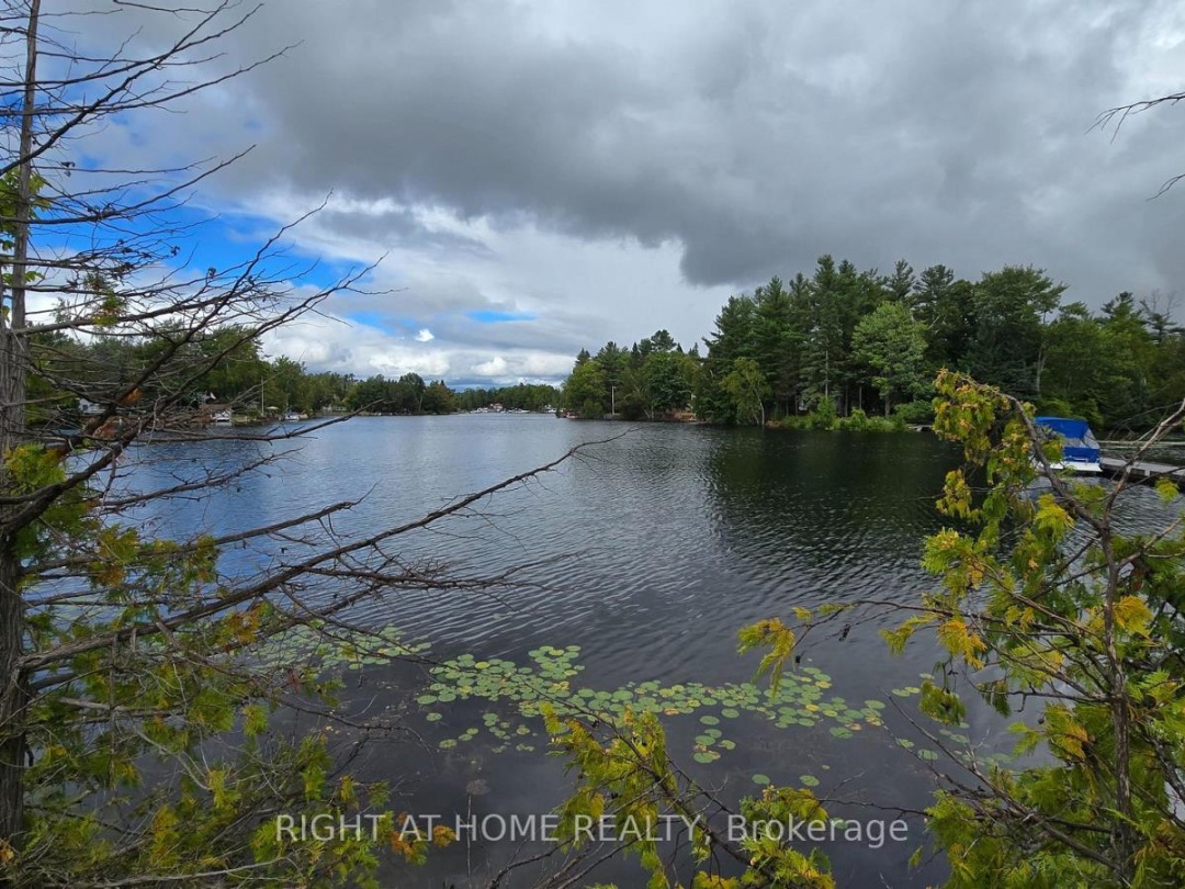 31 PORTAGE ROAD, 