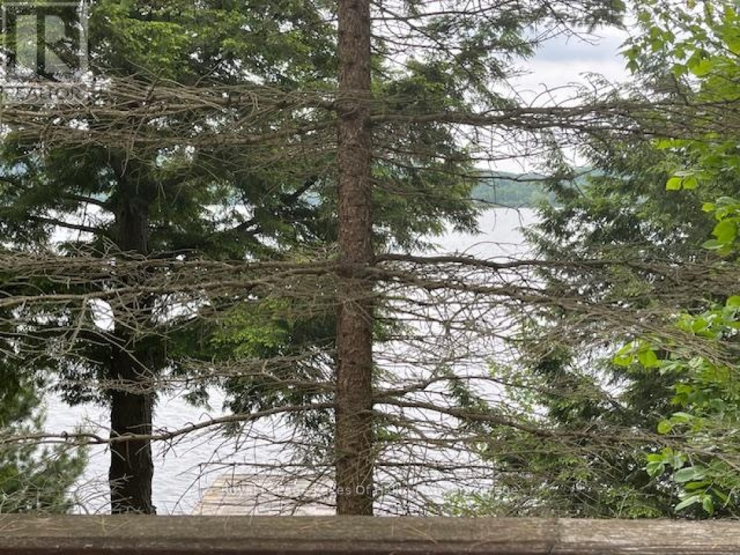 1010 MEDLEY TRAIL, 